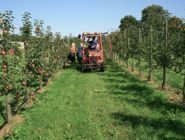 Obsthof am Schlossbruch - Bio Äpfel aus Alzenau